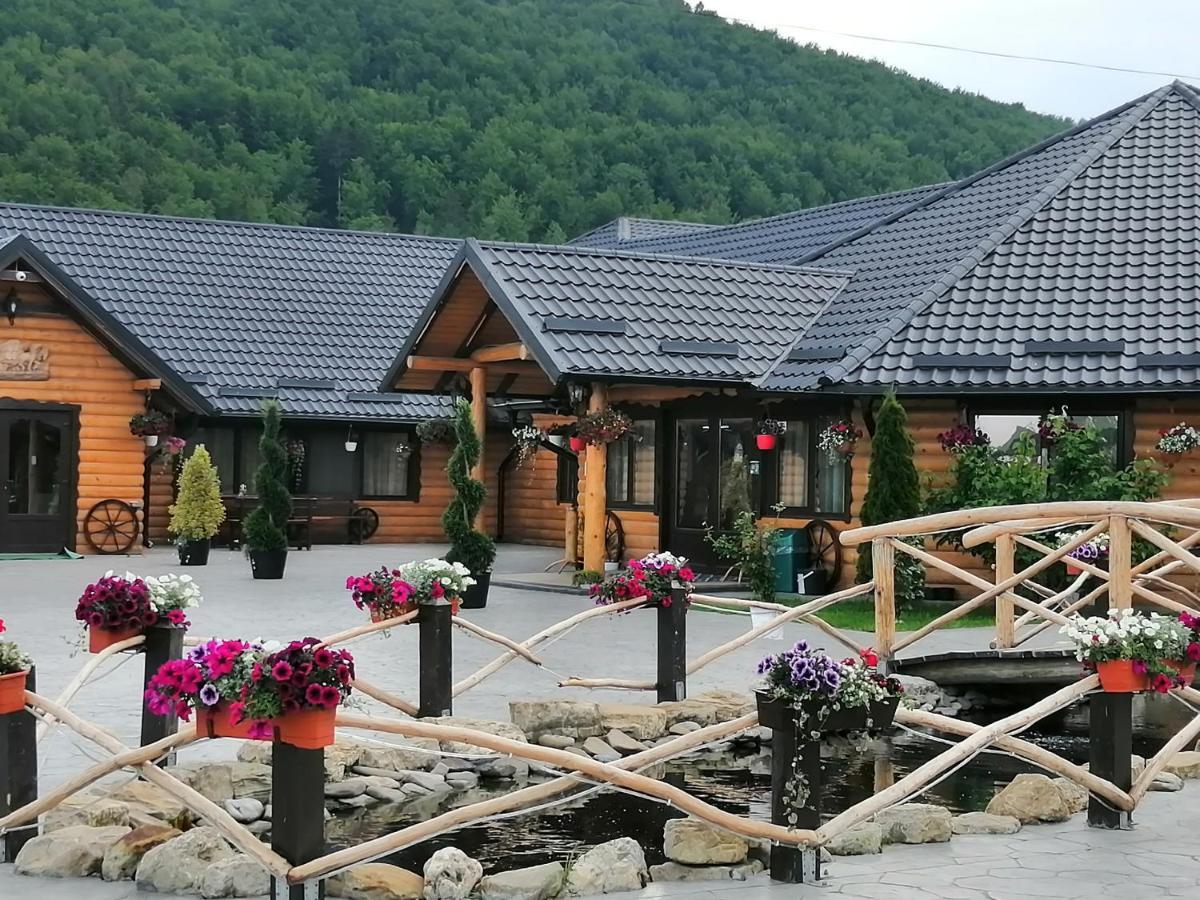 Hanul Vanatorului 古拉哈莫卢洛伊 外观 照片
